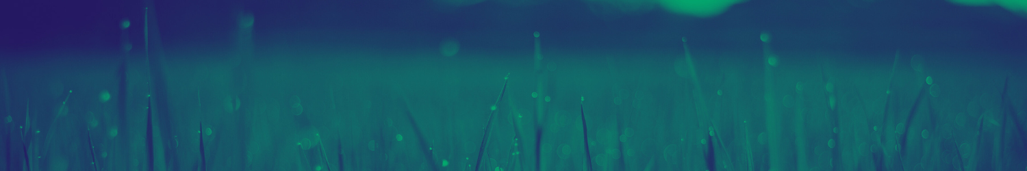 Weekly integration circle online Europe Spanish English peer support psychedelic experiences sesión grupal integración psicodélica en línea apoyo entre pares bilingüe